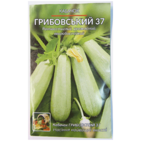 Kabachok Gribovskii 37