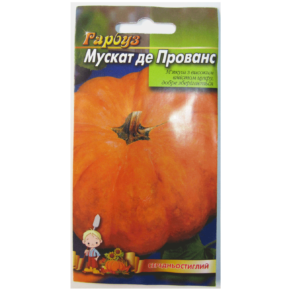 Шаблон фото для сайту 13