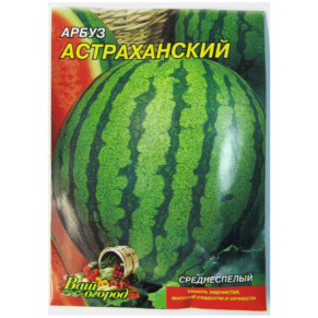 Шаблон фото для сайту 4