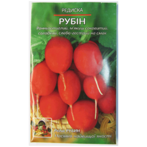 Шаблон фото для сайту 6