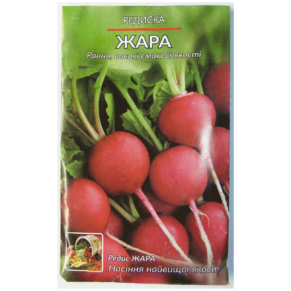 Шаблон фото для сайту 7