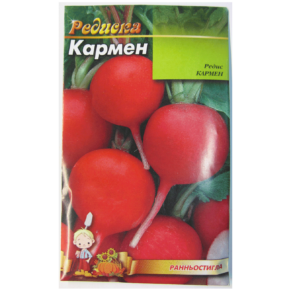 Шаблон фото для сайту 8