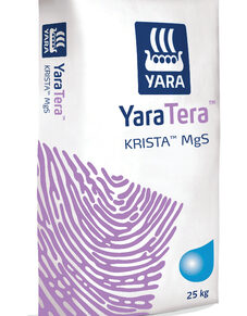 Yaratera Krista Mgs