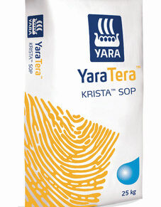 Yaratera Krista Sop