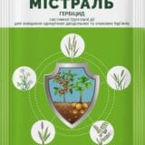 Містраль 100 г.