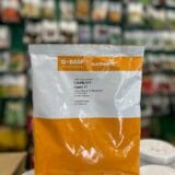 Кабачок Кавілі F1 10шт., 1000 шт.