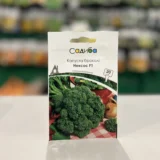 Капуста броколі Нексос F1