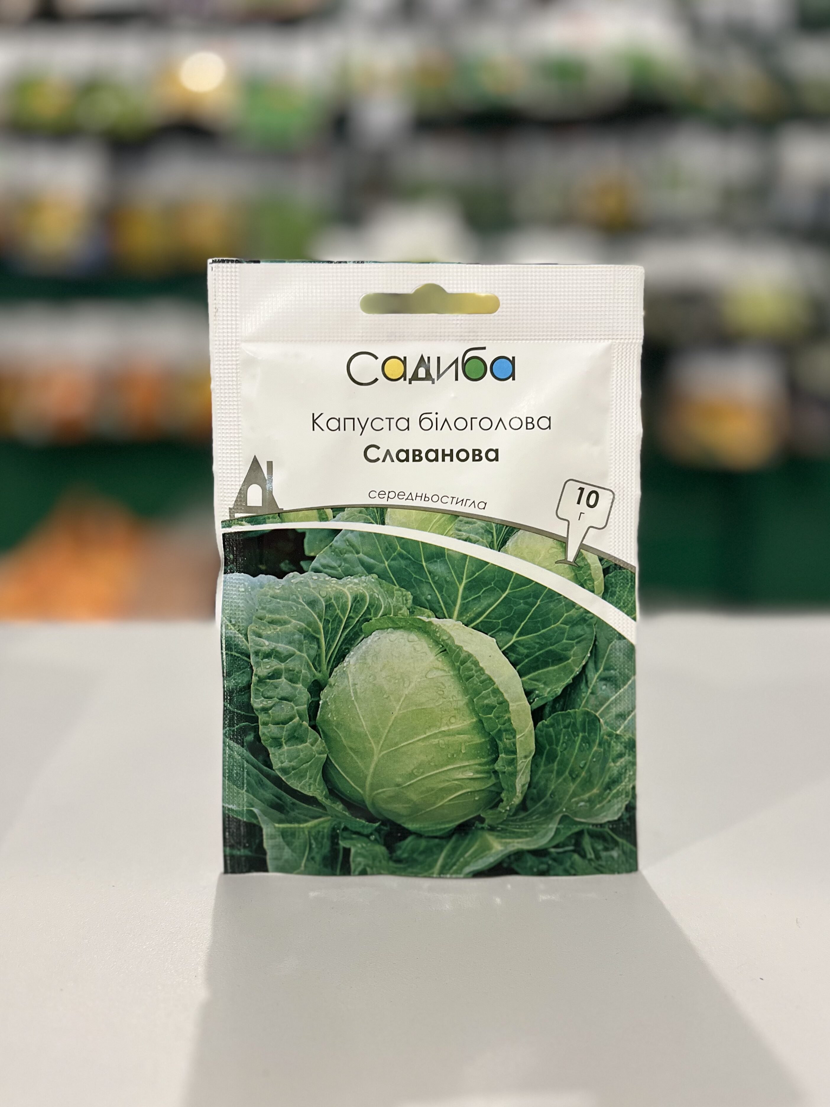 Капуста білоголова Славанова