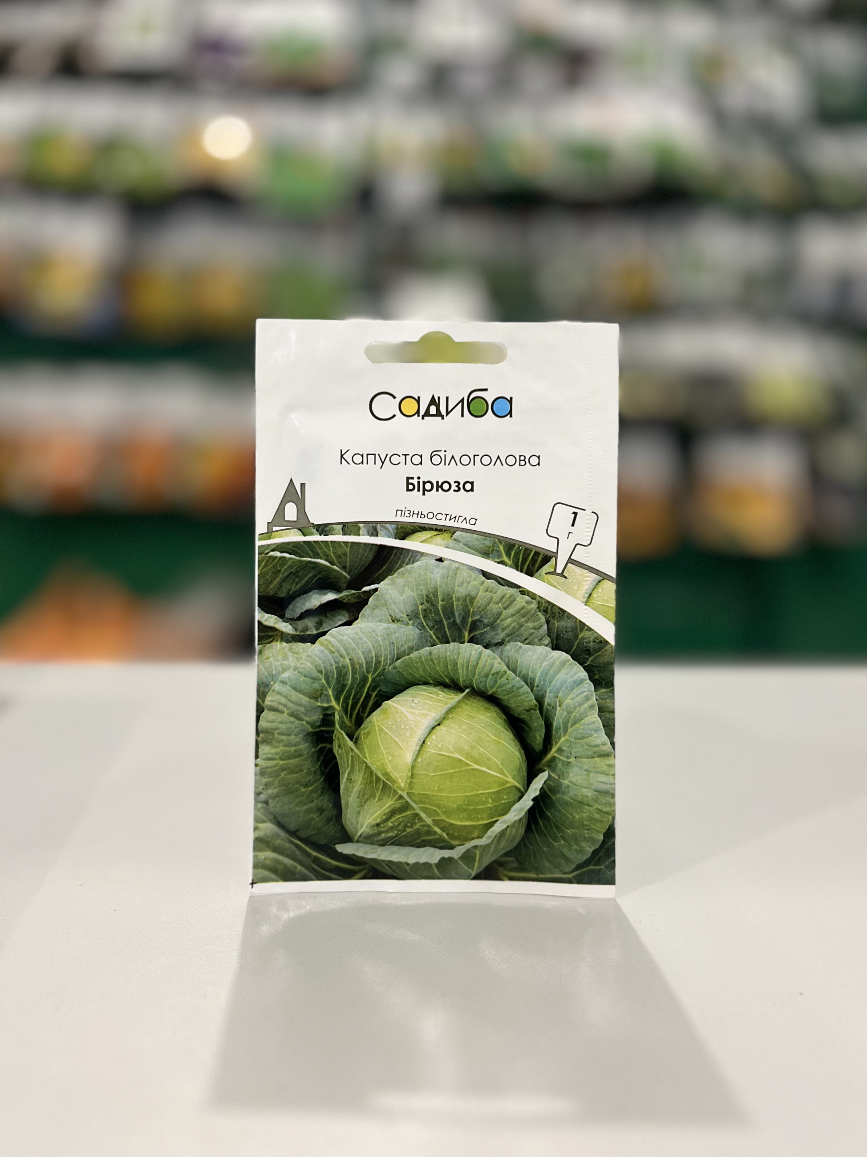 Капуста білоголова Бірюза