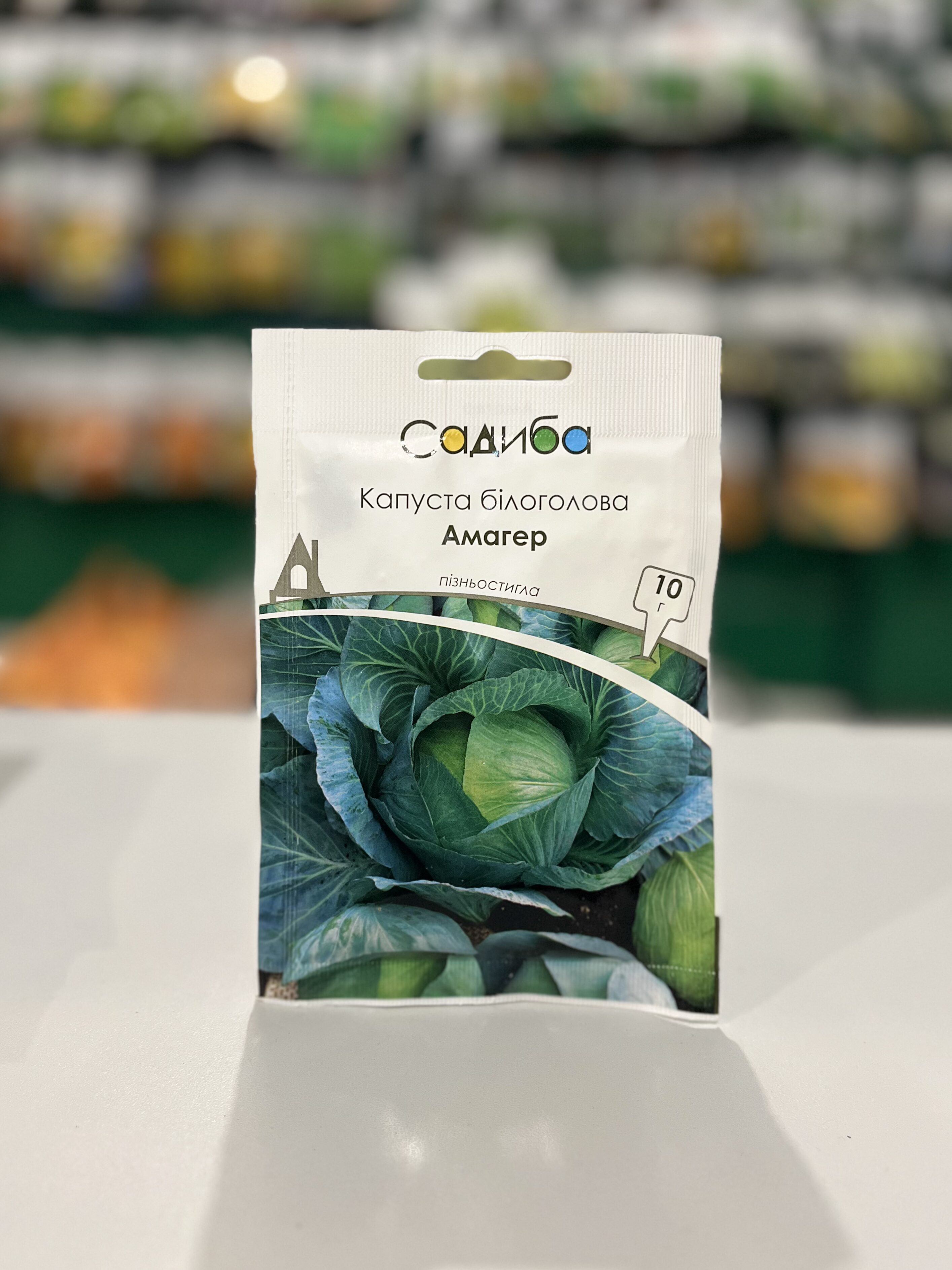 Капуста білоголова Амагер